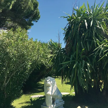 Hotel Grand Del Mare & 5*