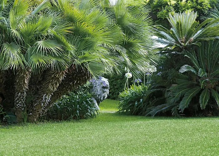 Hotel Grand Del Mare & 5*