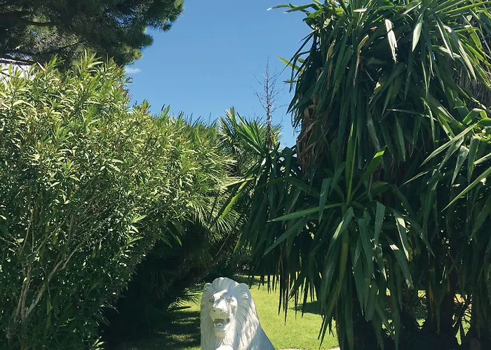 Hotel Grand Del Mare & 5*